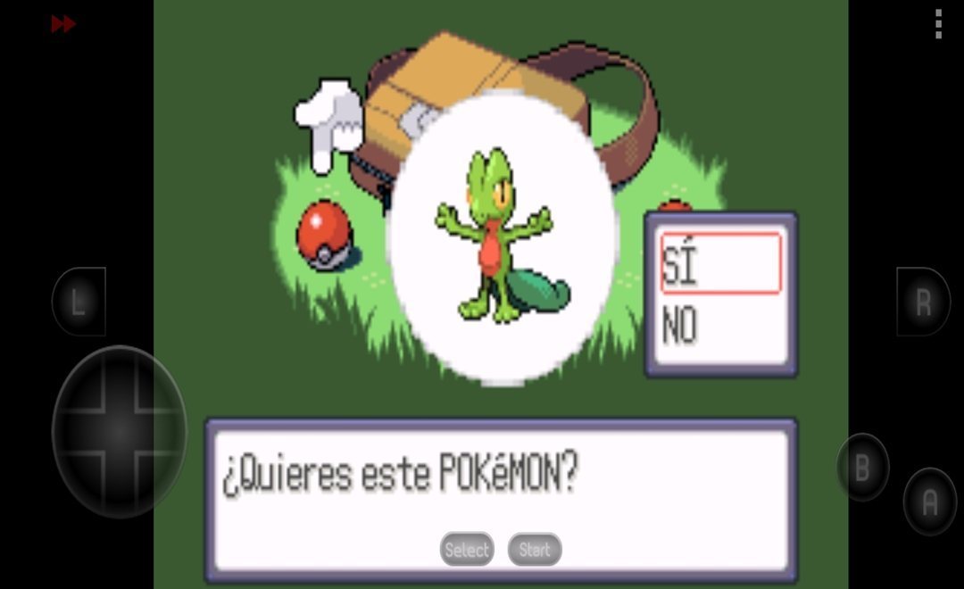 PP电子-口袋妖怪红宝石中文版